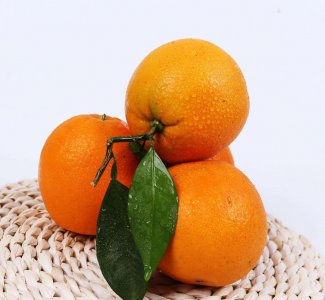 红江橙是哪里的特产 红江橙产地在哪里？