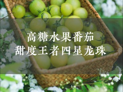 十大高糖水果排行榜 糖含量高的十种水果排行榜