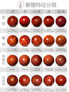 小叶紫檀耐寒多少度 小叶紫檀耐寒温度范围是多少？