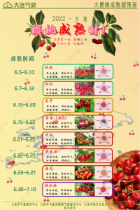 重庆樱桃成熟时间解析 重庆樱桃什么时候成熟